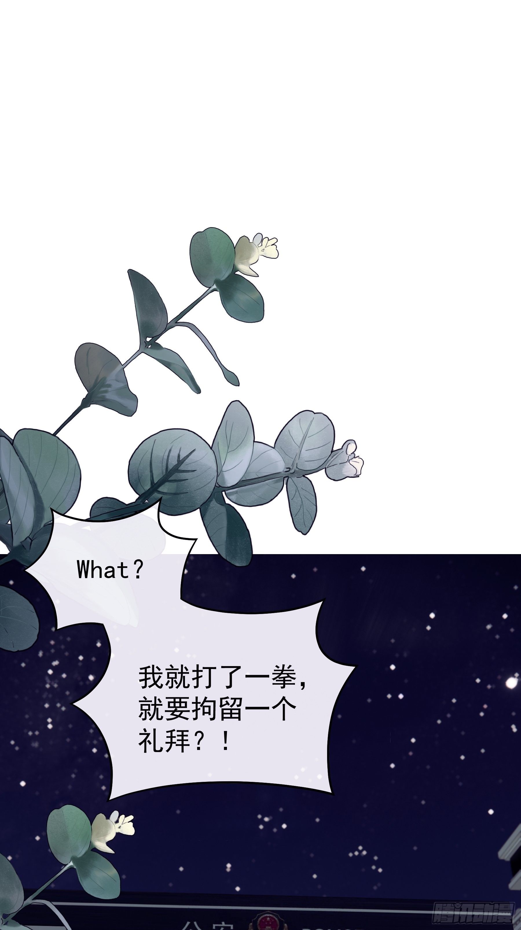 10-白洛掉马24