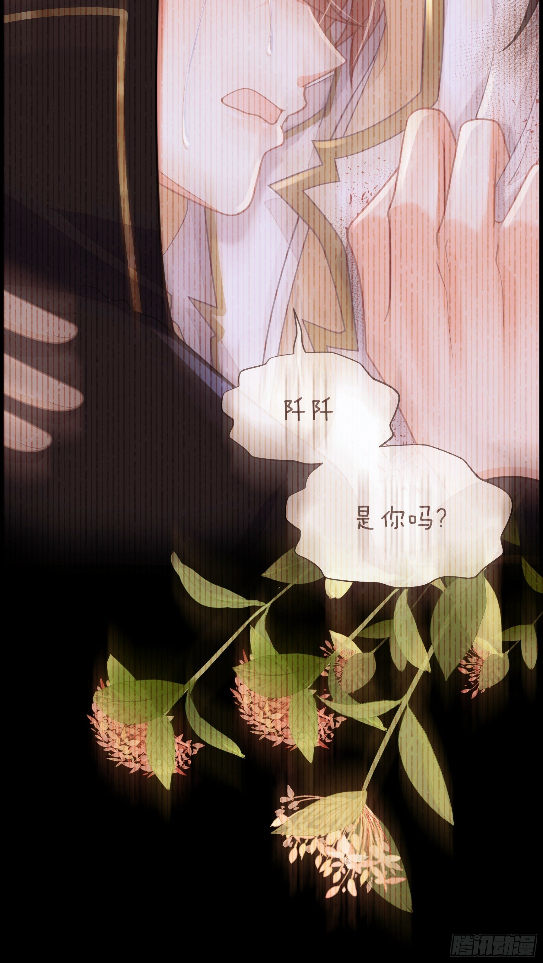 23-818就是阡阡？22