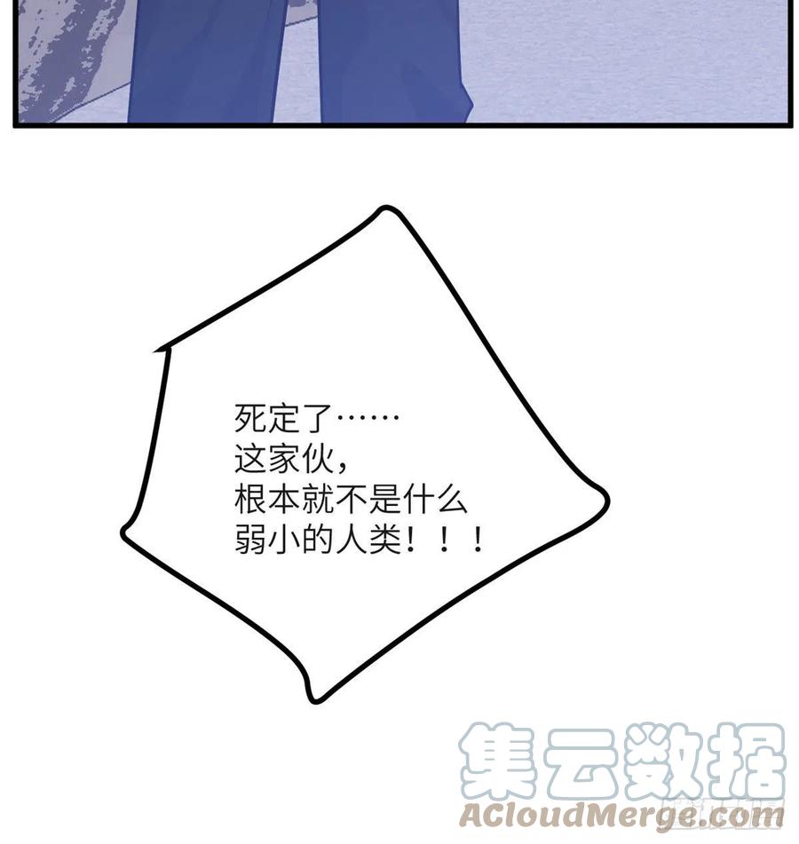 第26话 宠物登场78