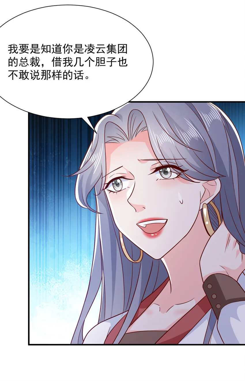 528 神秘总裁29