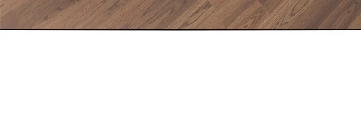 450 起诉11