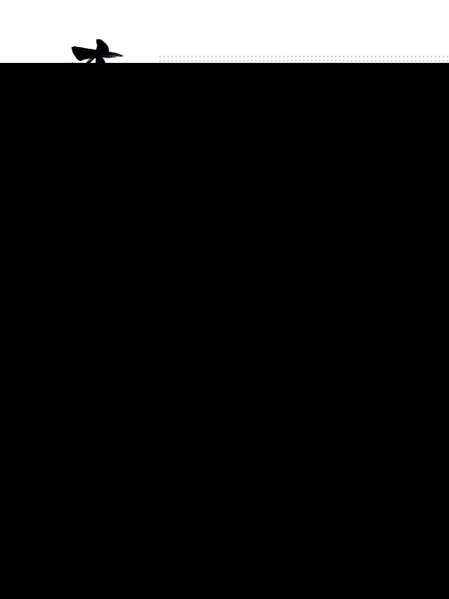 424 直播骗局13