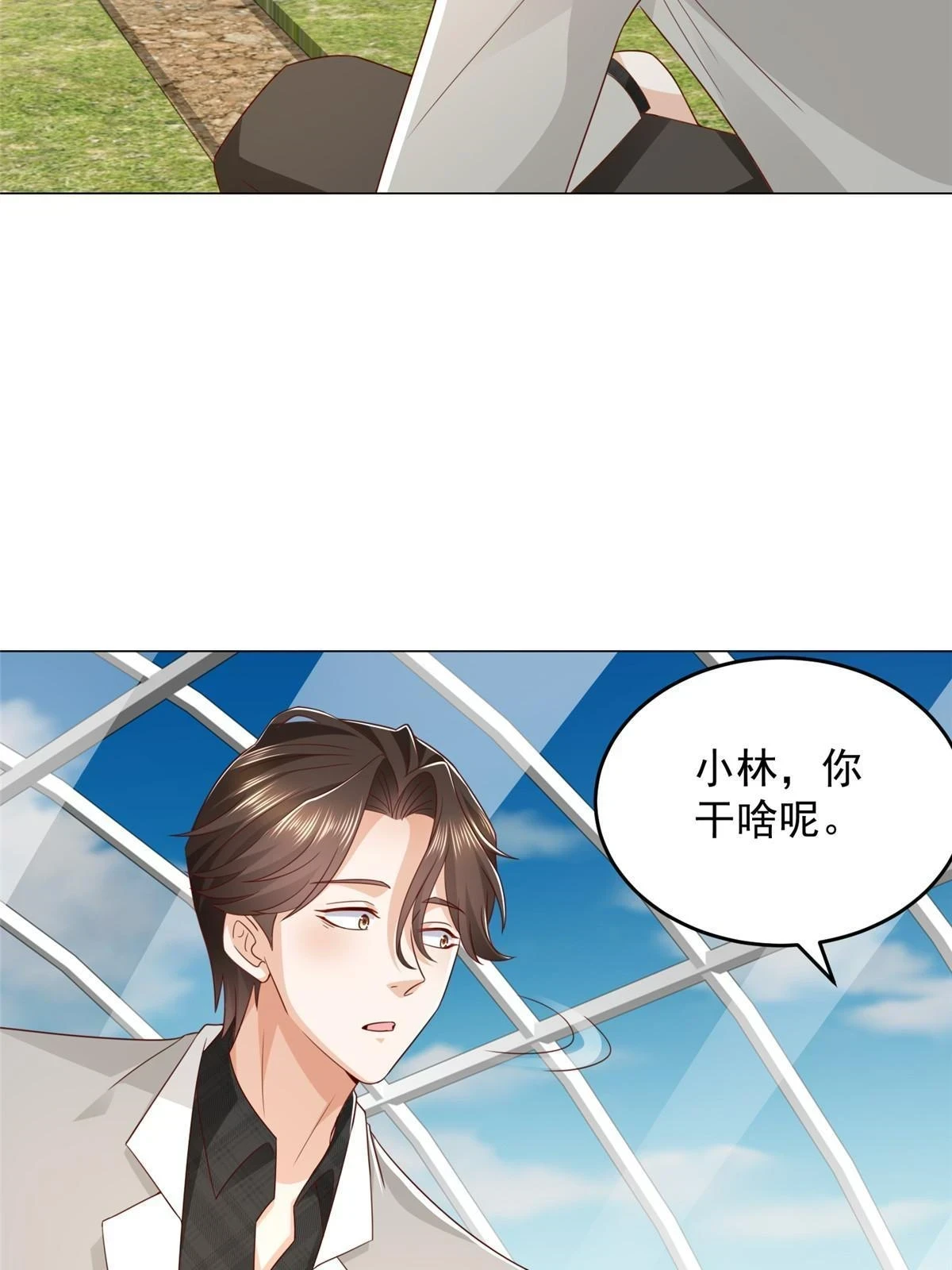 365 新晋宠物25