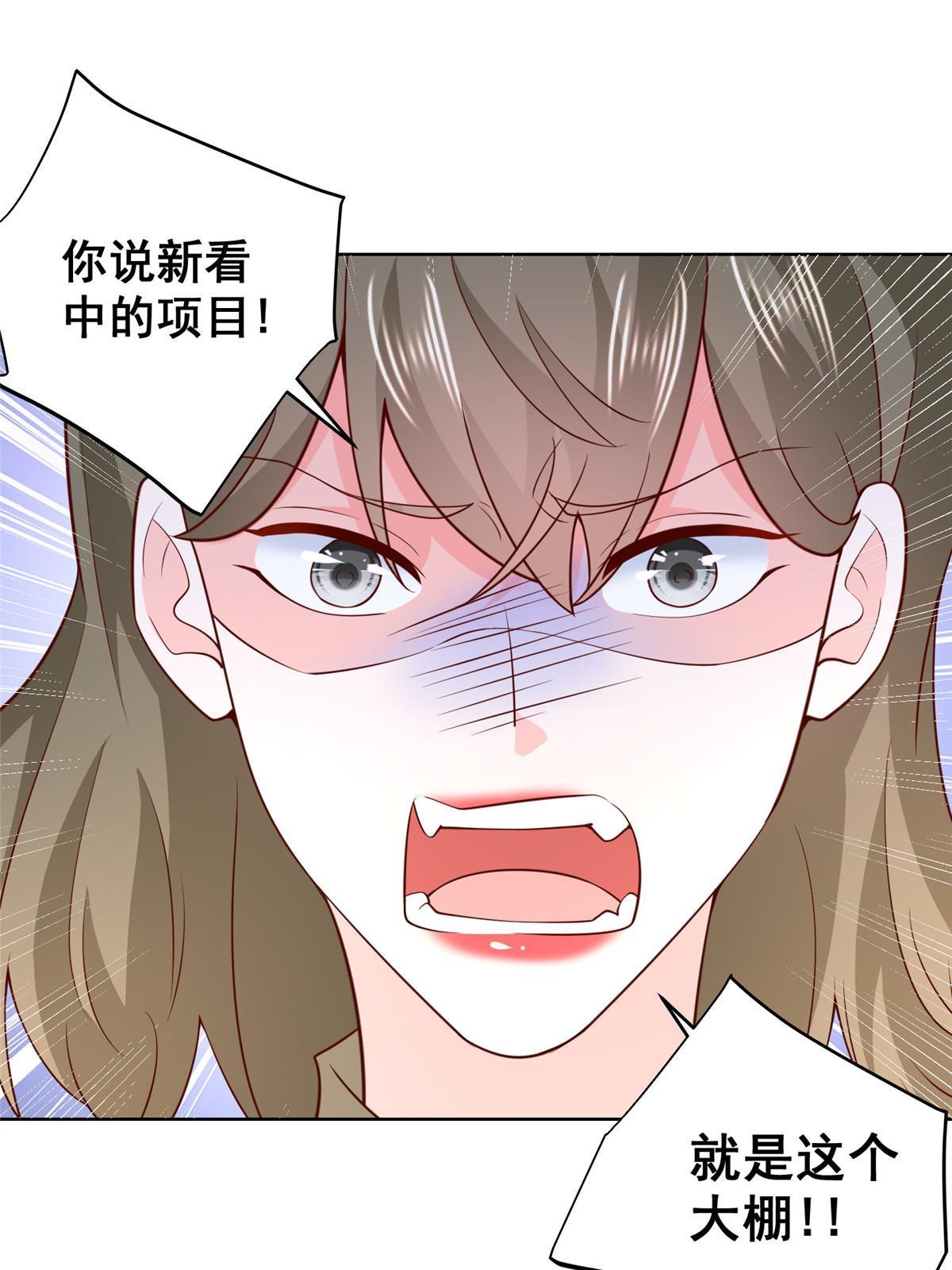 355 新项目计划书37