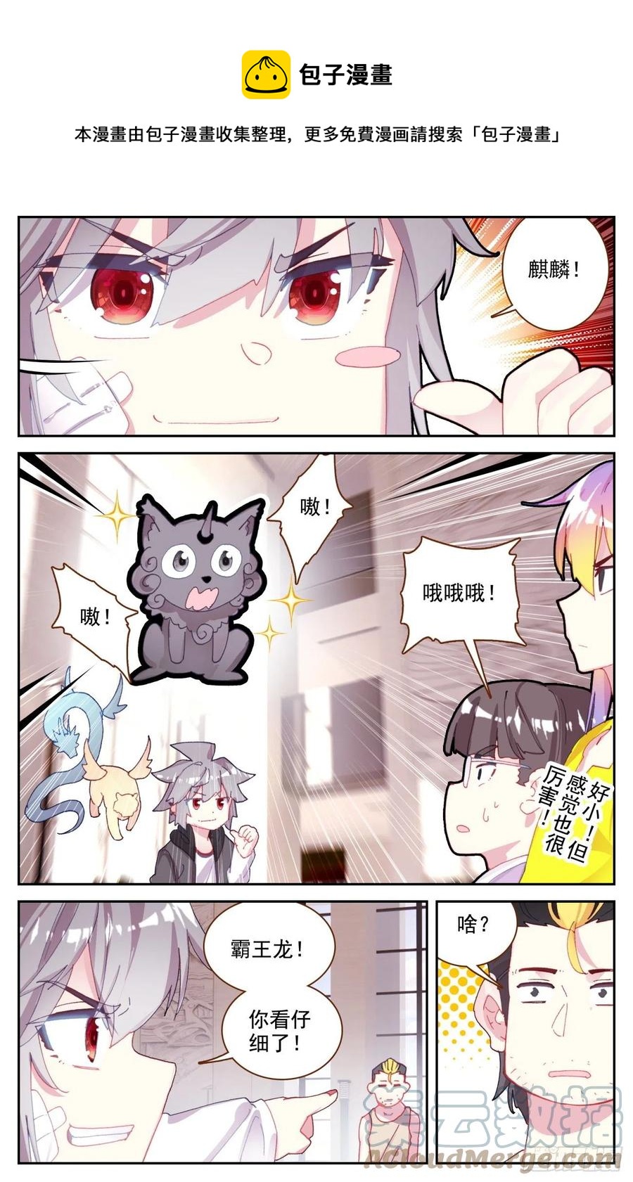 62 生肖狮獒犬4