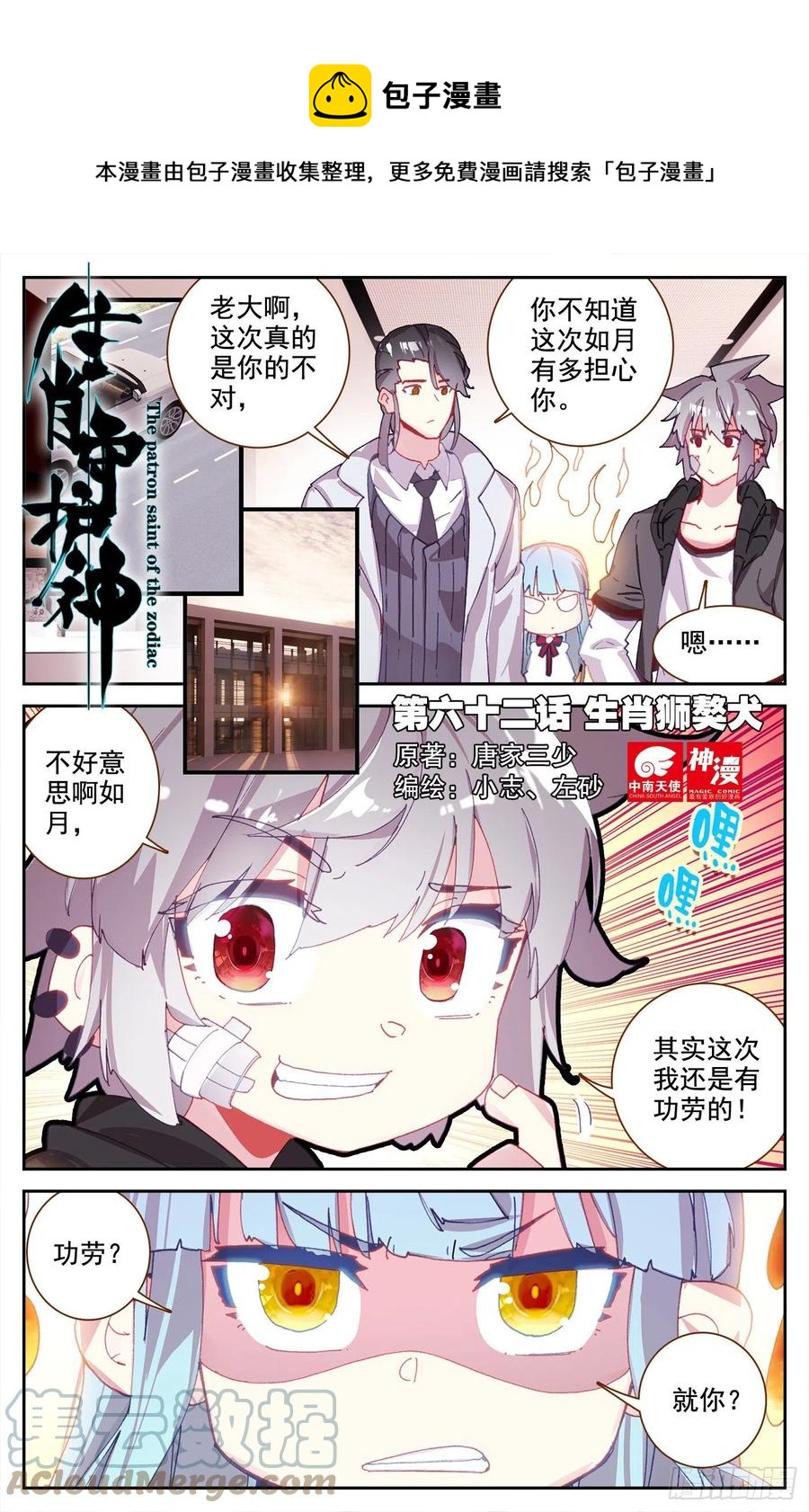 62 生肖狮獒犬0