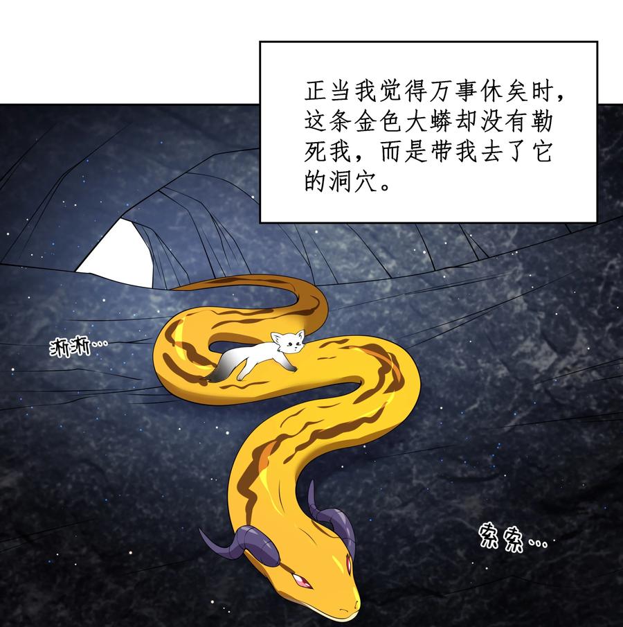074 外传：黑色，白色和黄色 其一31