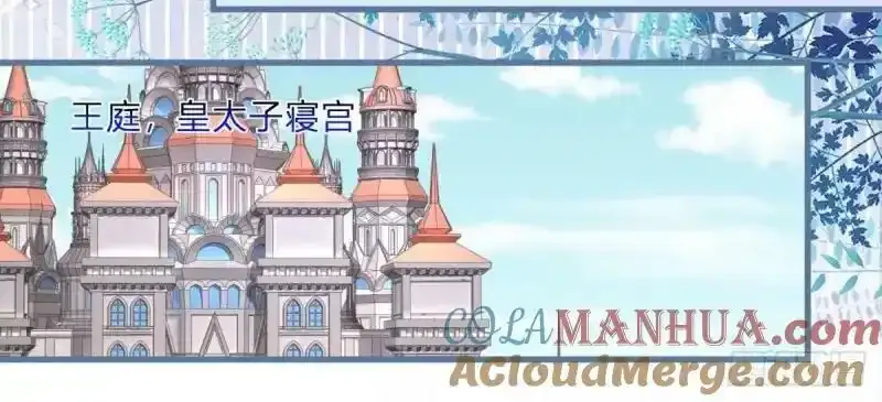 第167话 三兄弟争夺凯特80