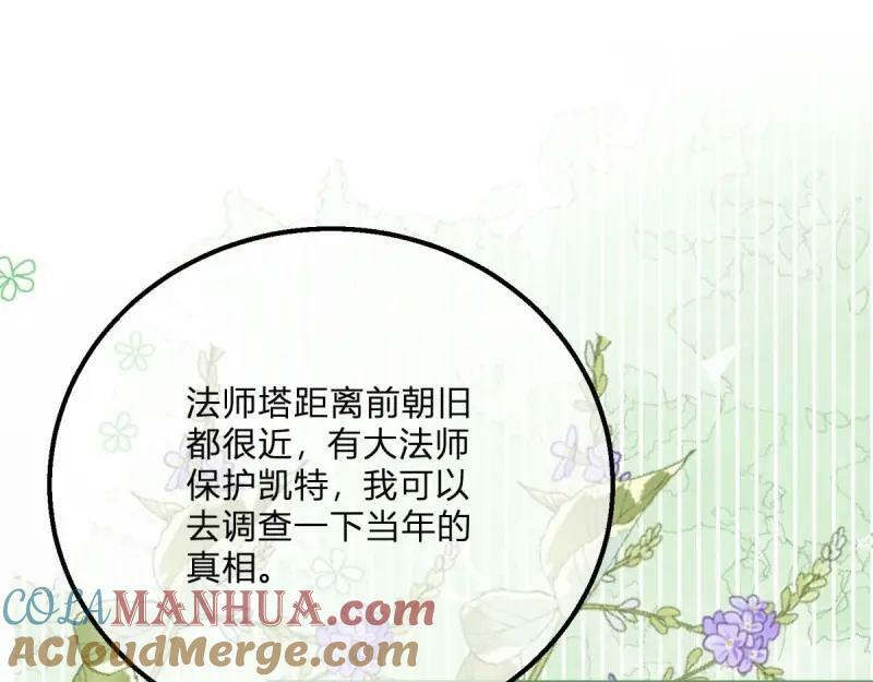 第170话 第167话 三兄弟争夺凯特32
