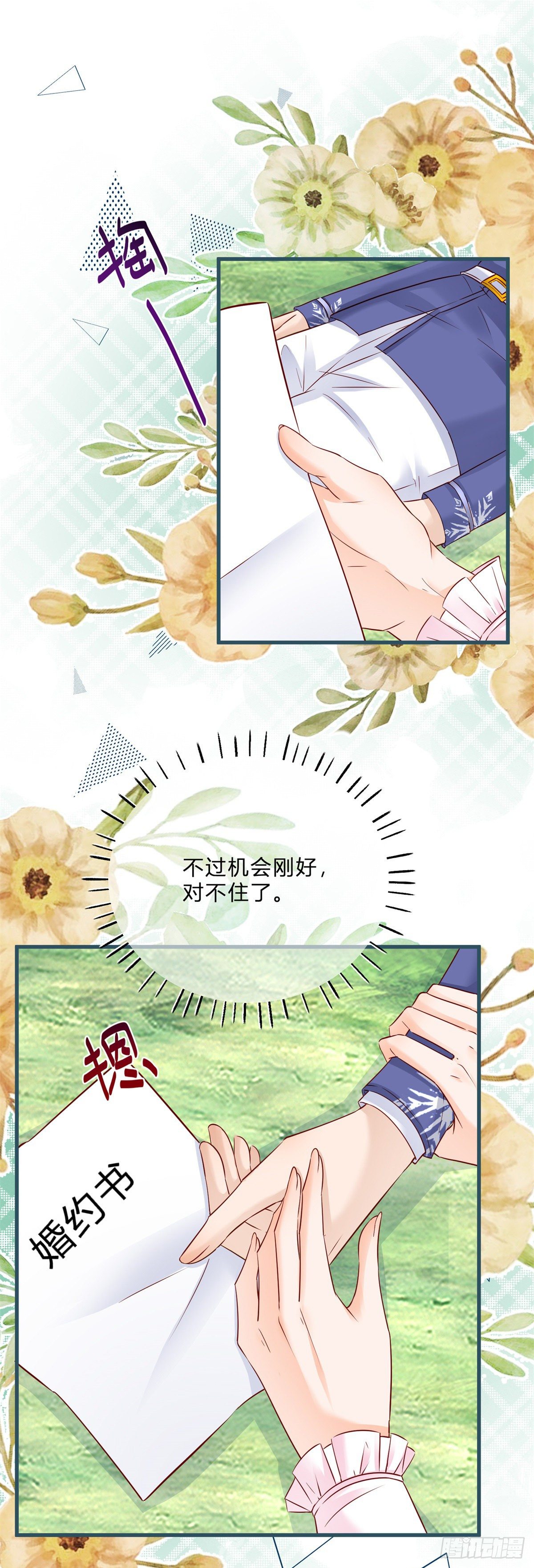 第66话 达成婚约19