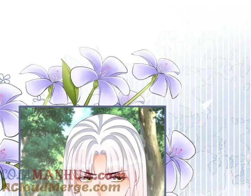 第170话 第167话 三兄弟争夺凯特52