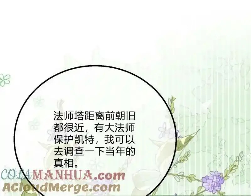 第167话 三兄弟争夺凯特32