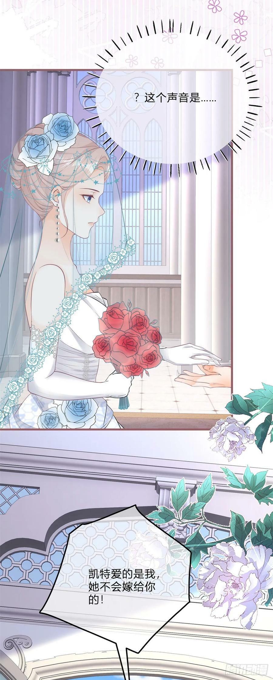 第165话 我要去抢婚29