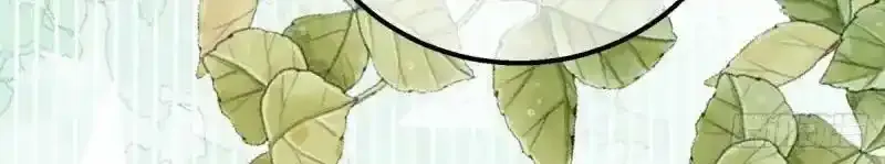 第167话 三兄弟争夺凯特47
