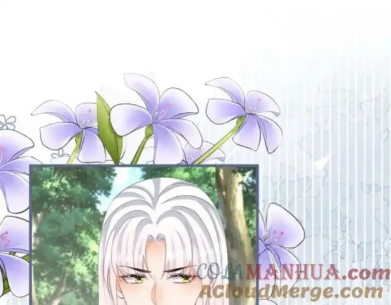 第167话 三兄弟争夺凯特52
