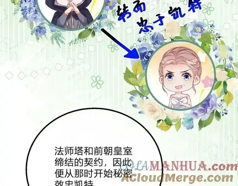 第167话 三兄弟争夺凯特24