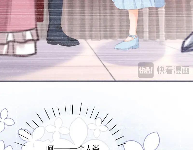 第182话 第179话 缔结契约17