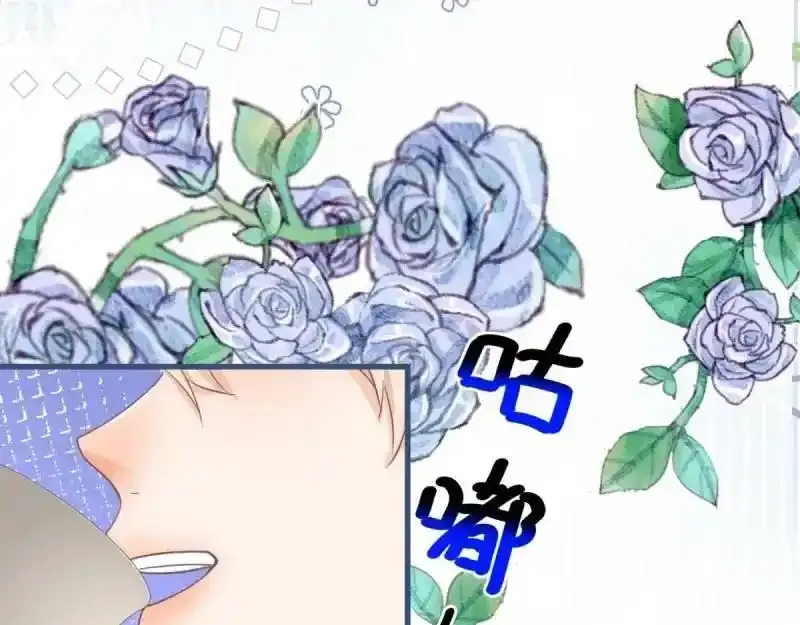 第167话 三兄弟争夺凯特94