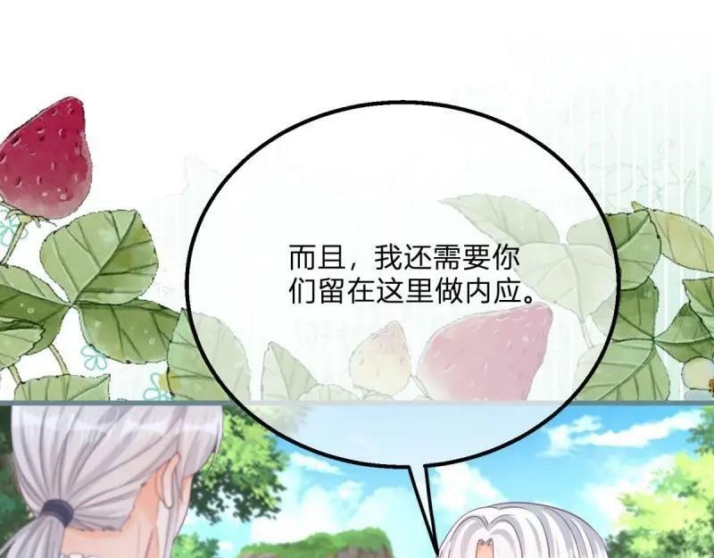 第170话 第167话 三兄弟争夺凯特42