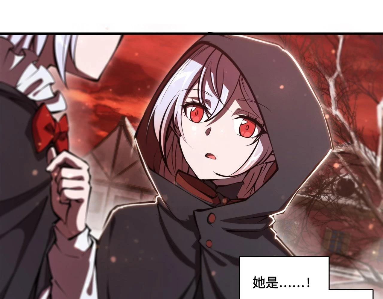 第256话 另一位银发73