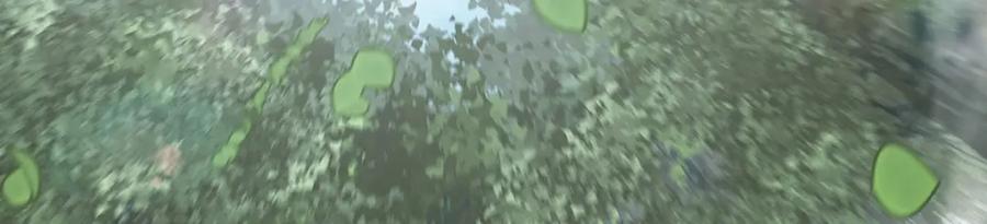 第291话 血灵克星131