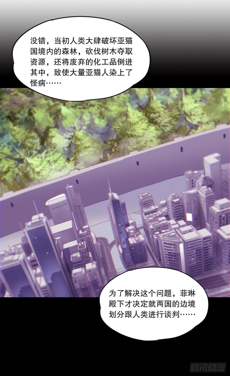 第120话 菲琳的秘密6