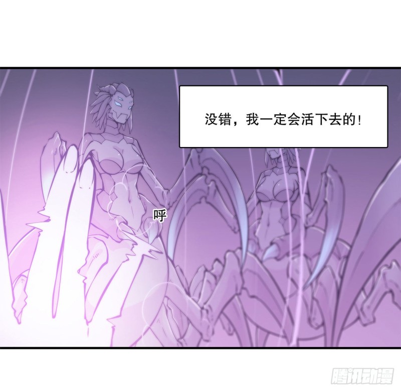 第72话 白姬登场6