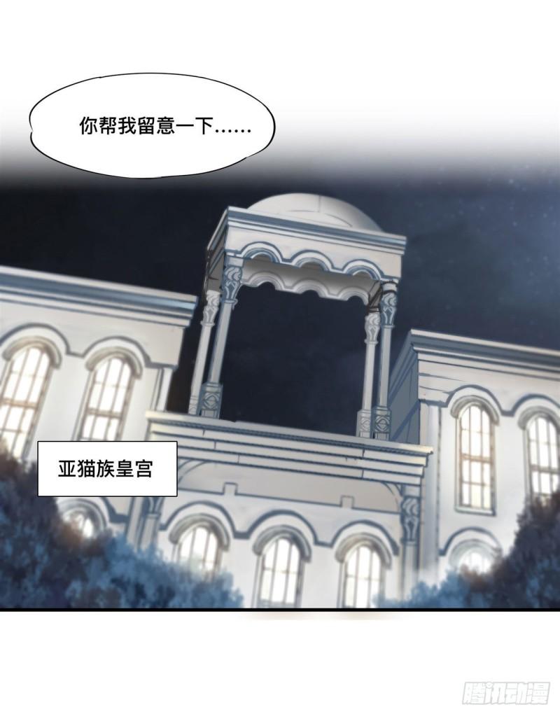 193 计划的婚礼13