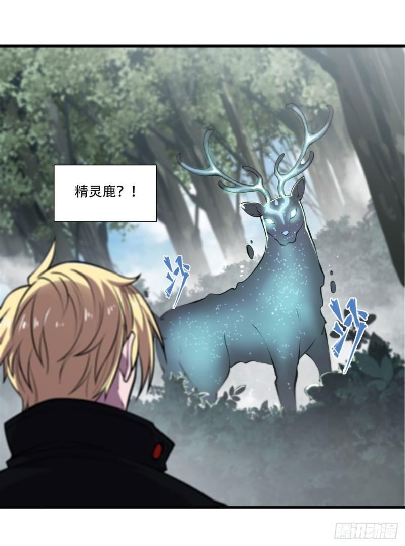 222 条件交换46