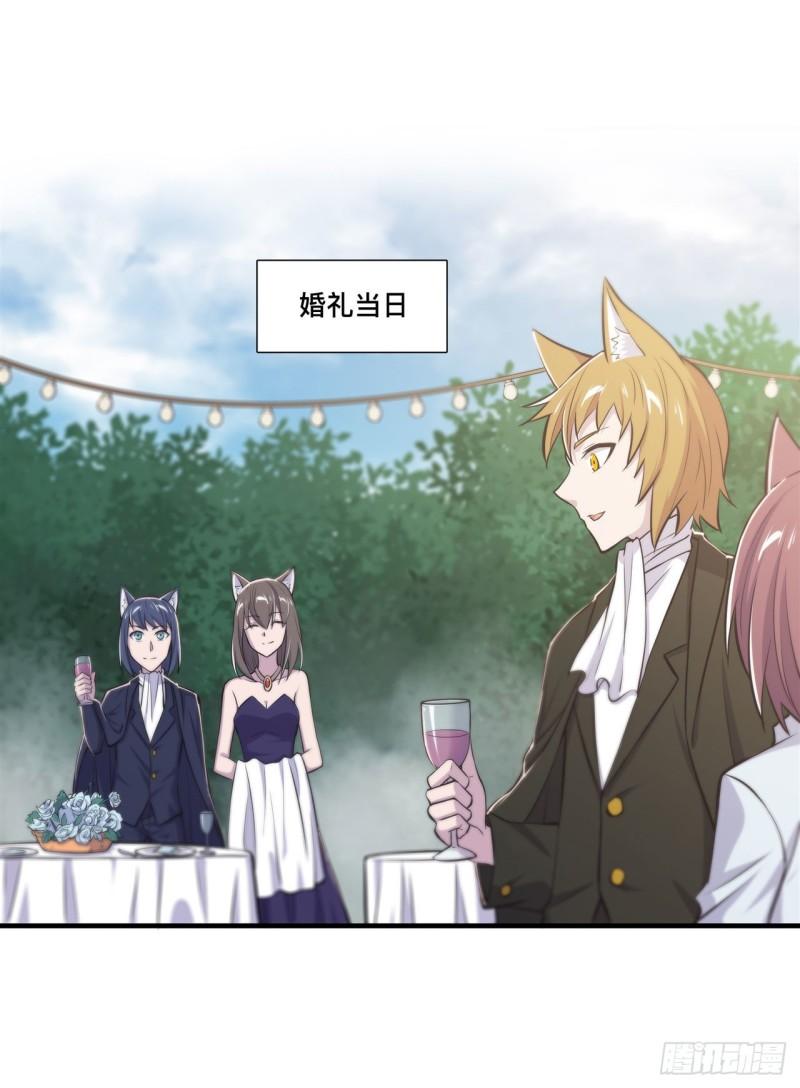 193 计划的婚礼26