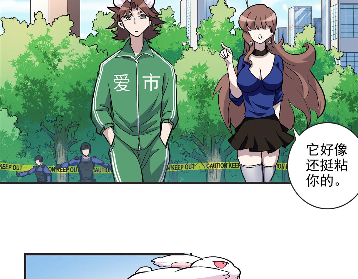 12 幸运兔脚41