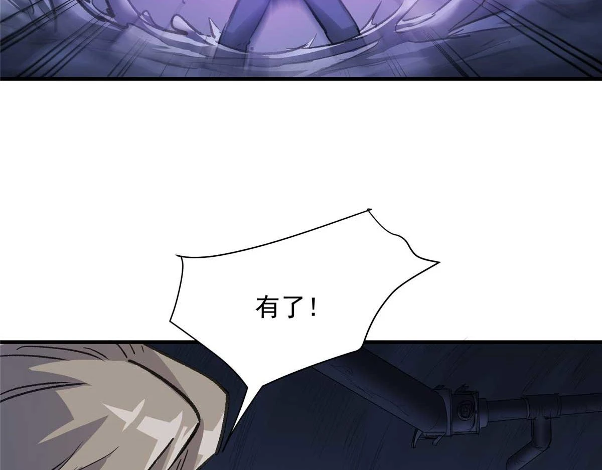 66 同调113