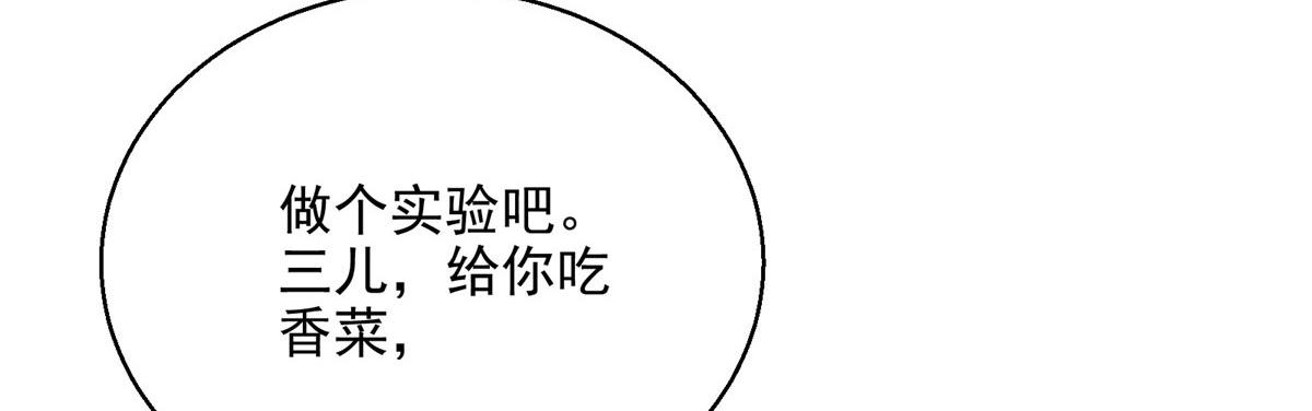 13 欧皇附体12