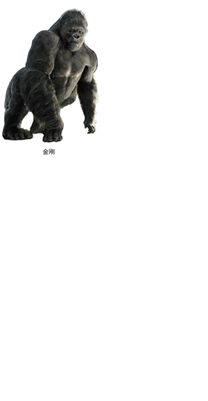 i 引子5