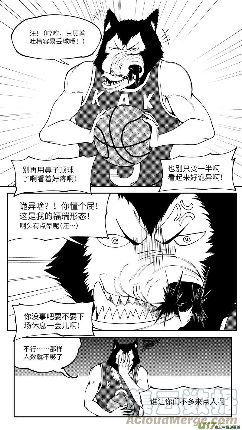100064 新篮6