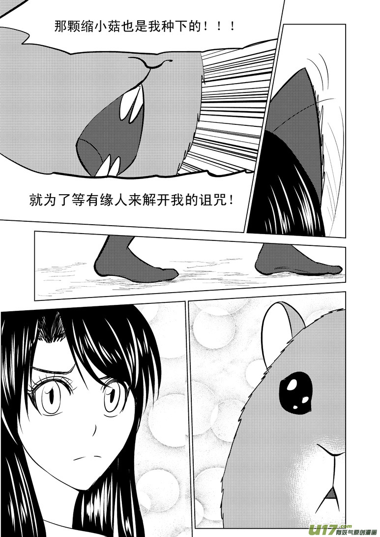 50893 白雪篇2