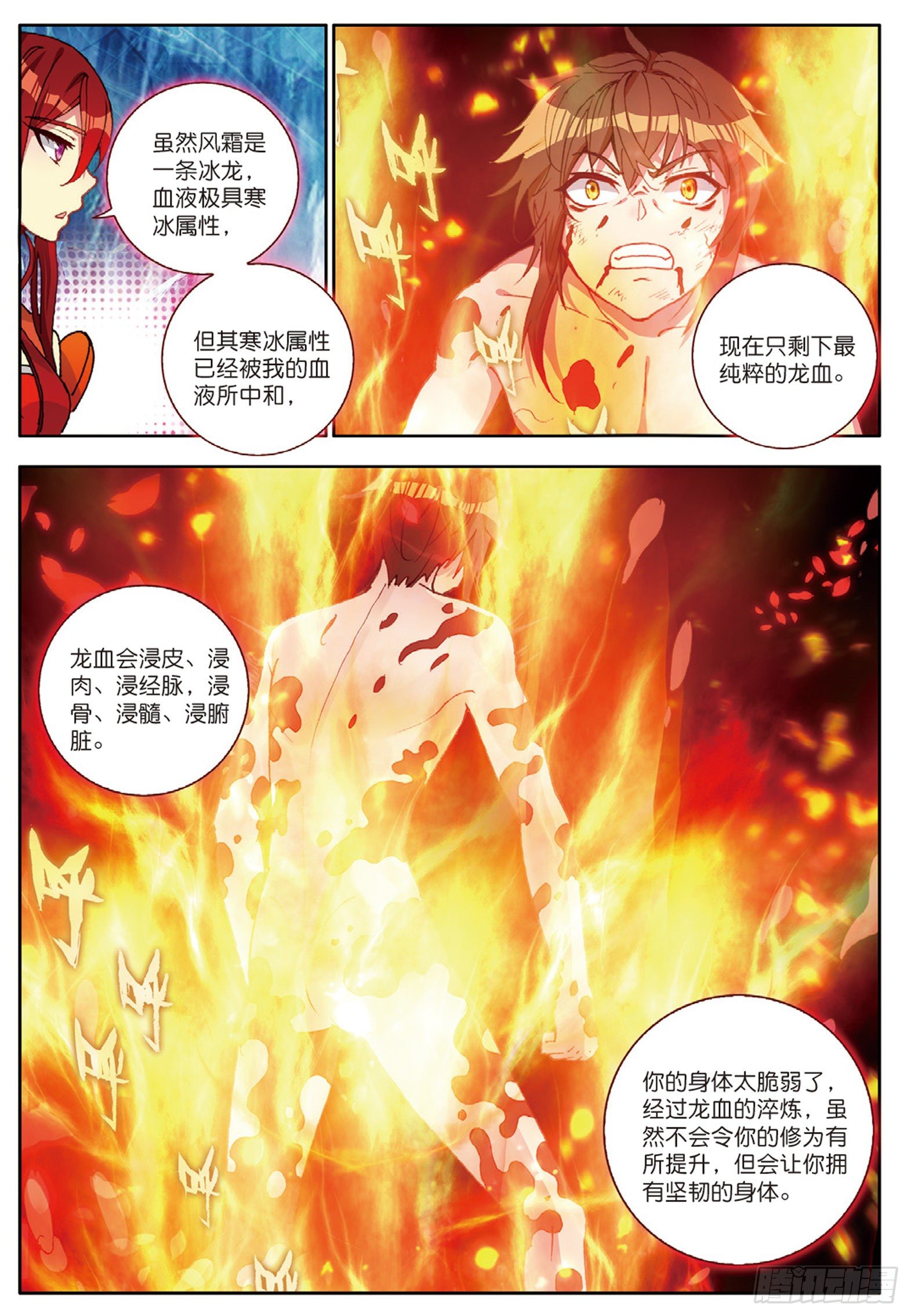 22 火龙蛋 上2