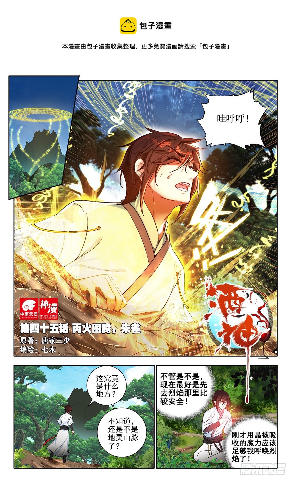 45 丙火图腾，朱雀 上0