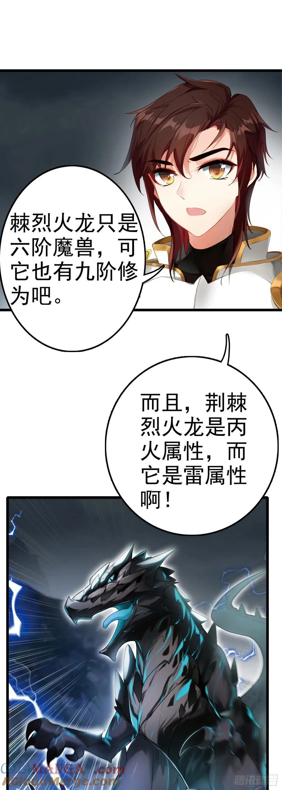89 荆棘雷火龙20