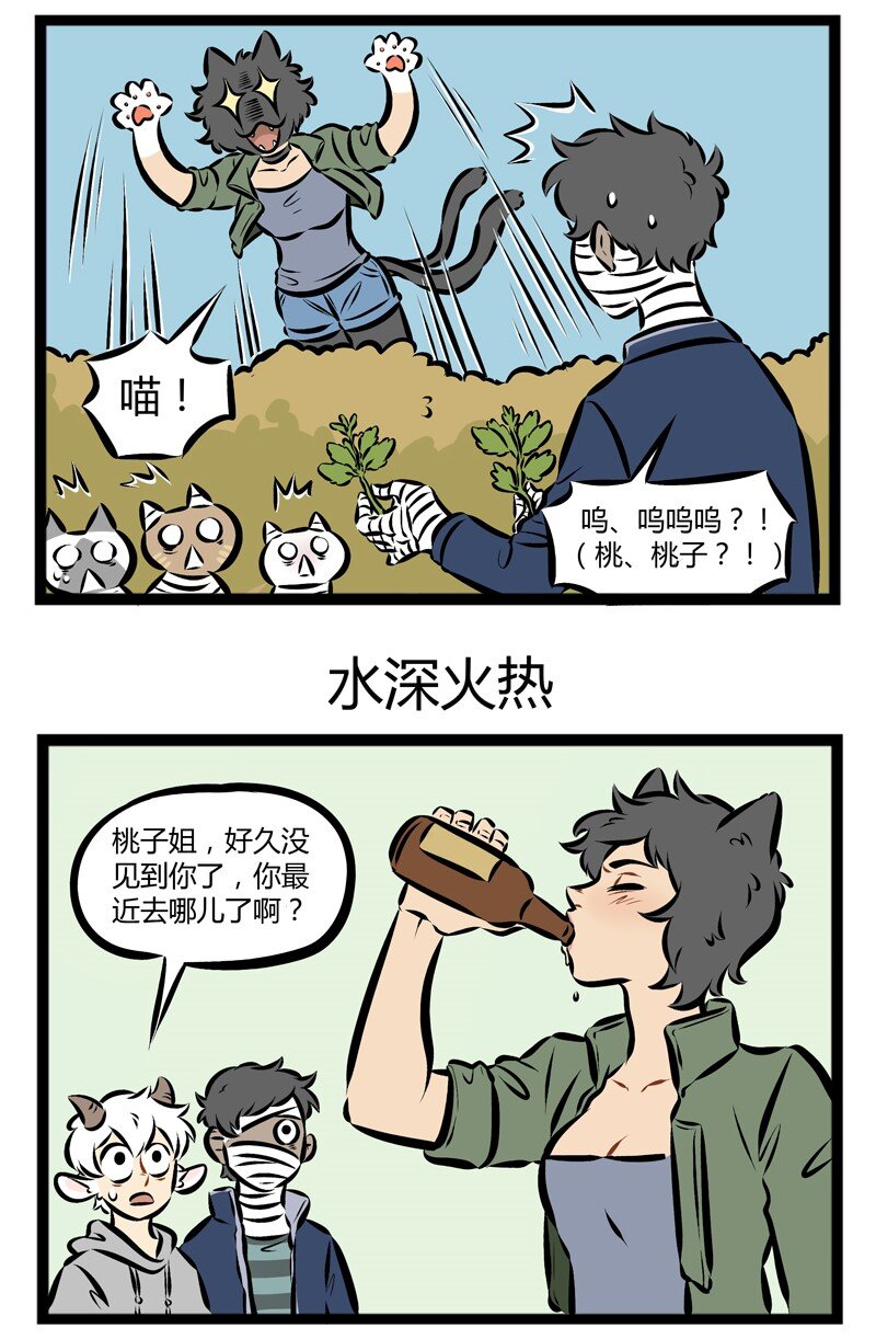 第134话 猫咪总是在你停止找它的时候出现。2
