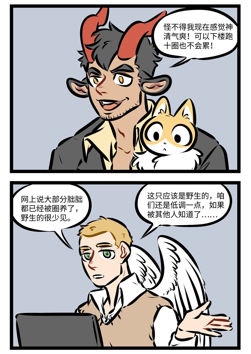 第245话 何以解忧，唯有撸猫！1