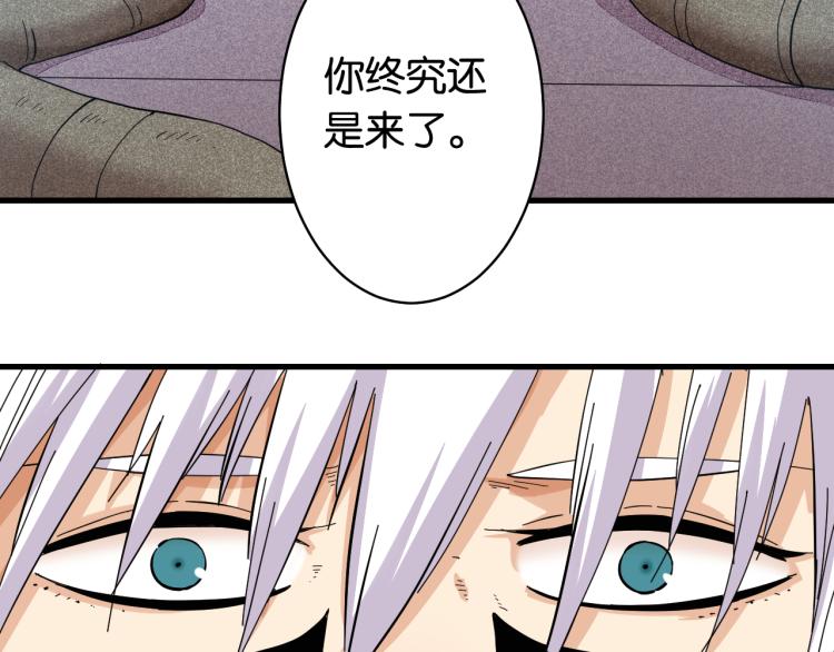第100话 老搭档20