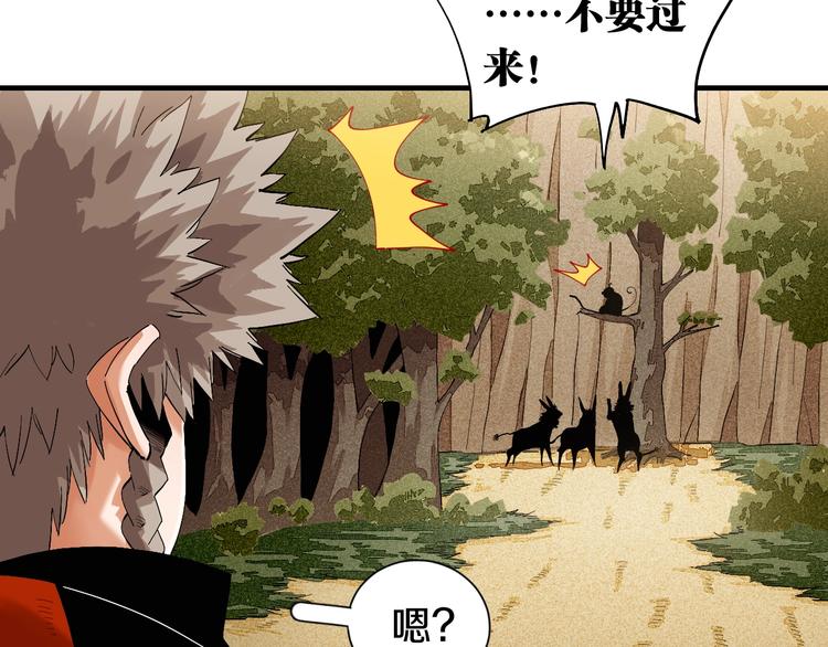 第41话 迷失裂谷！36