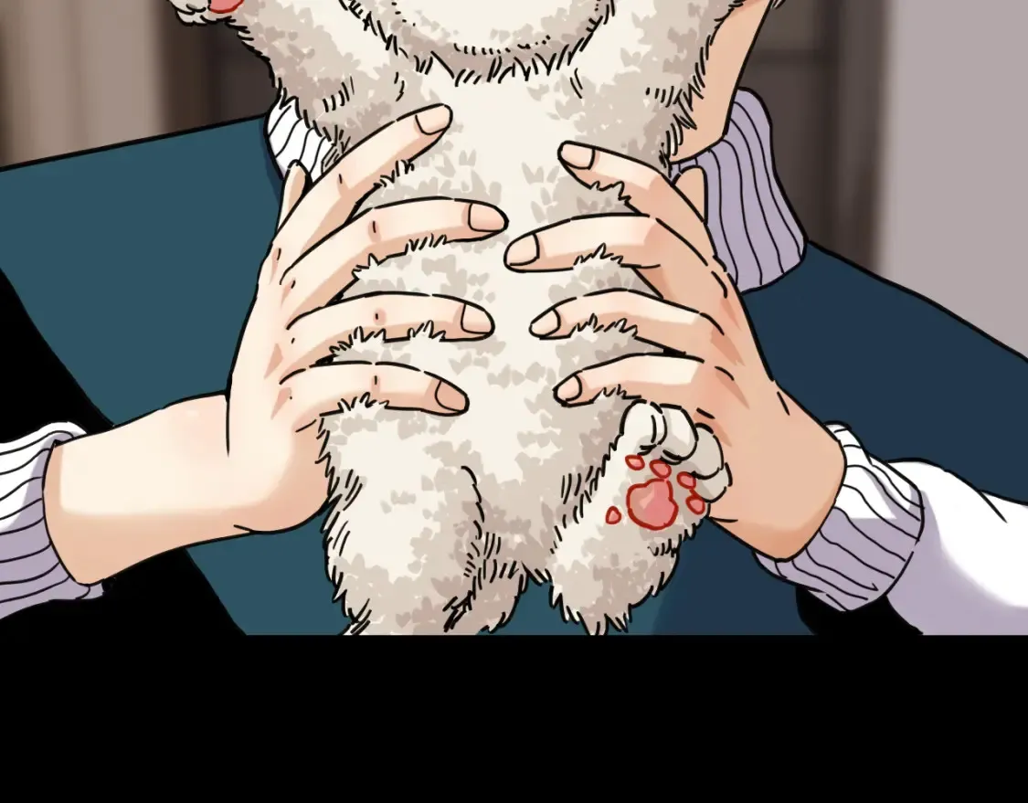 第178话 大猫33
