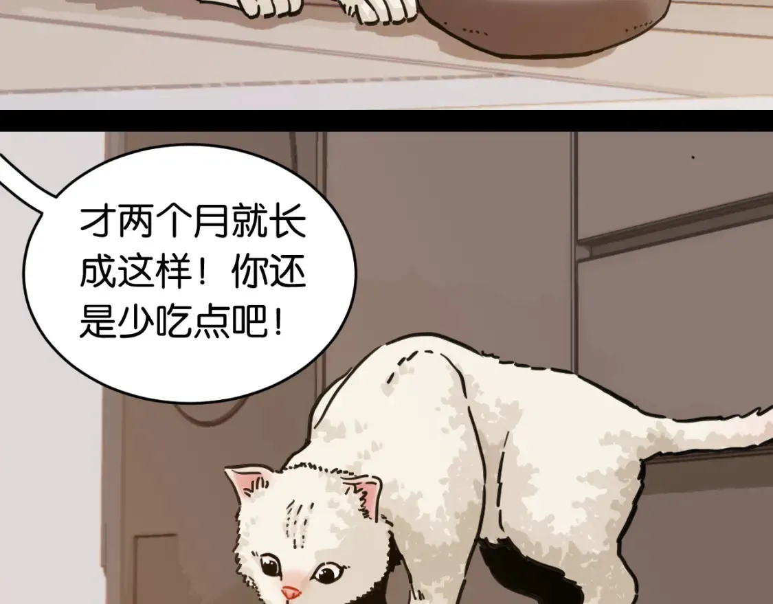 第178话 大猫52