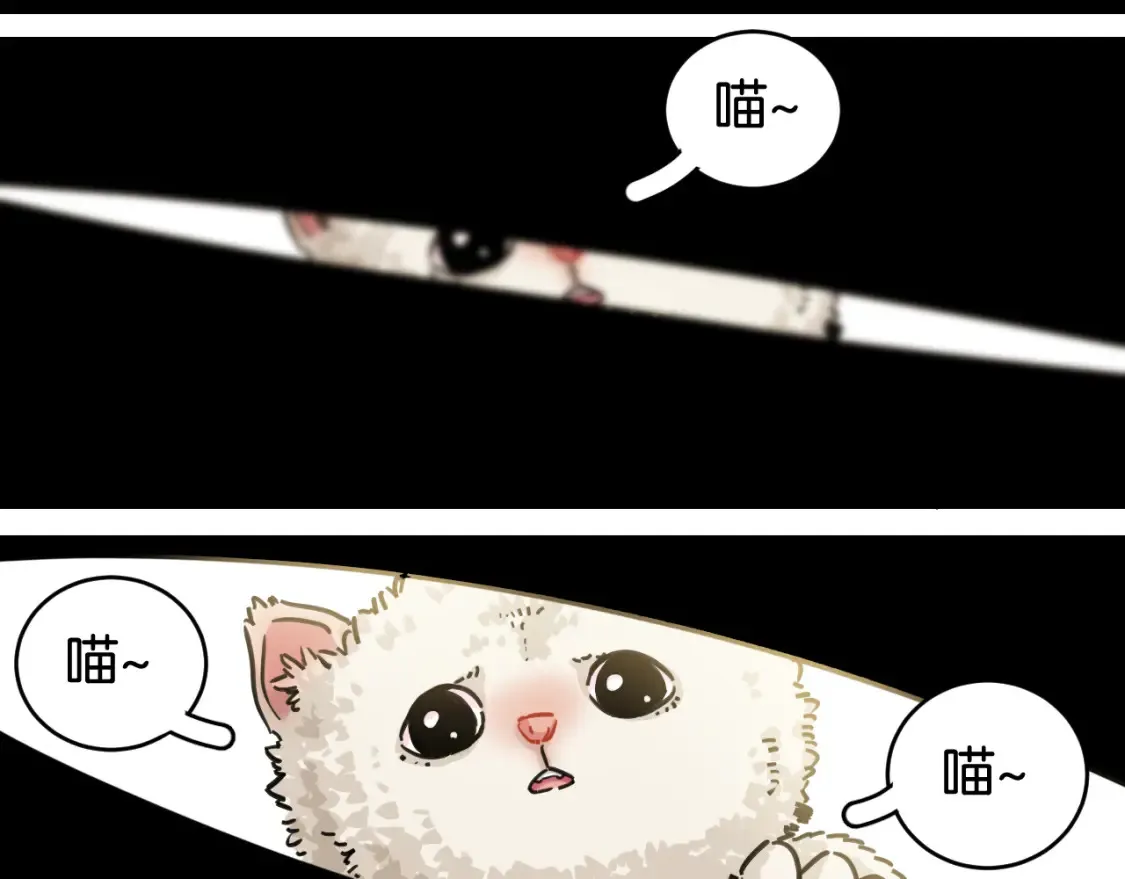 第178话 大猫45