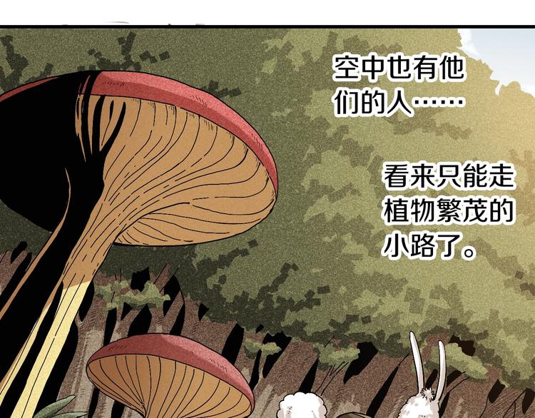 第49话 捉迷藏！17