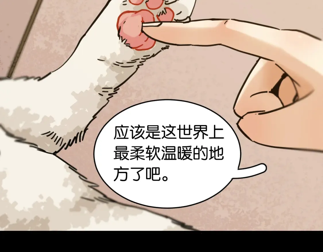 第178话 大猫61