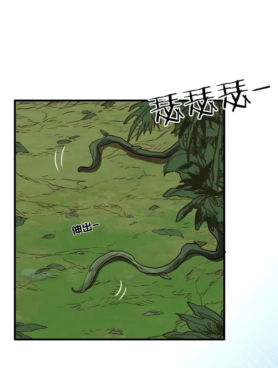 （第三季）012 亚马孙32