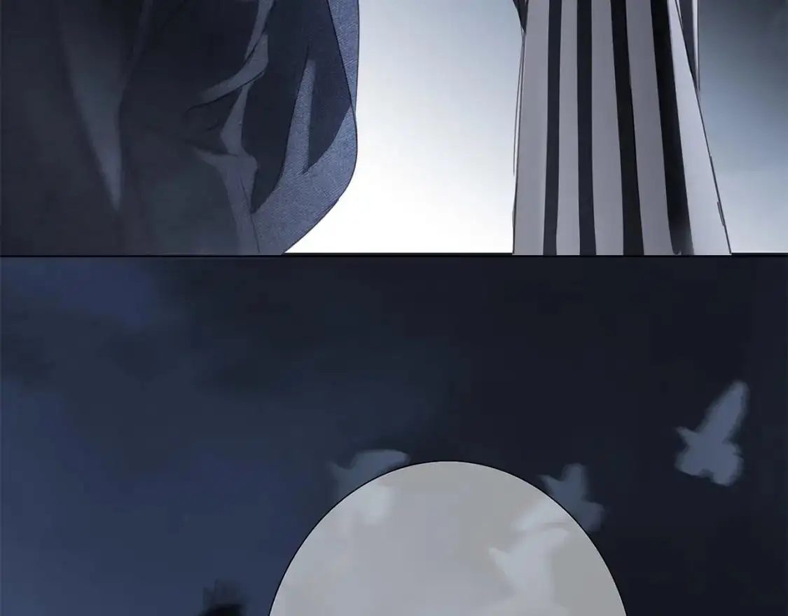 56：保护113
